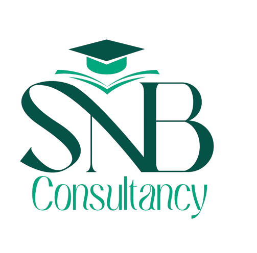 SNB Consultancy logo